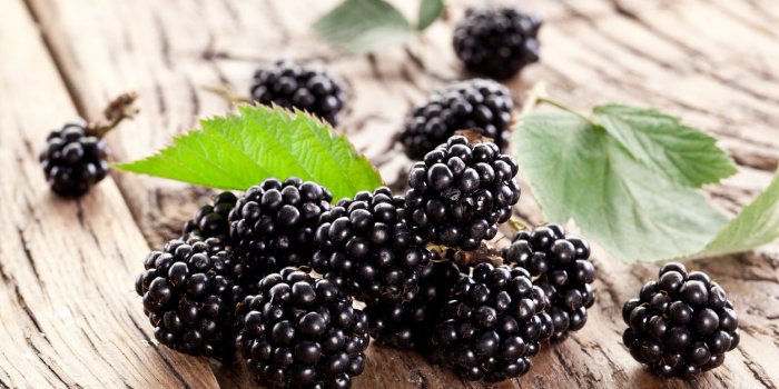 Flavan-3-ols : 7 aliments qui éloignent le médecin