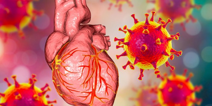 Pass sanitaire : certaines contre-indications vous dispensent du vaccin