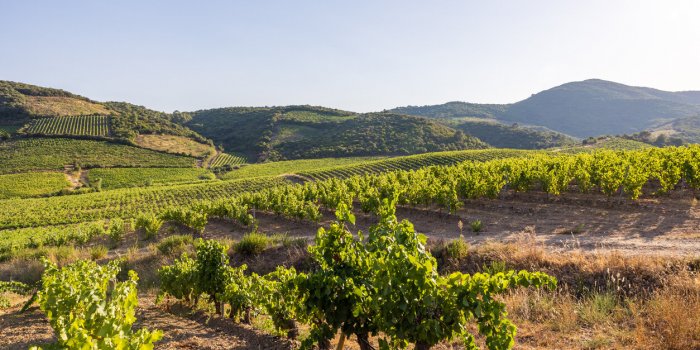 Prairies, vignes, forÃªts, les sols franÃ§ais les plus touchÃ©es par les microplastiques 