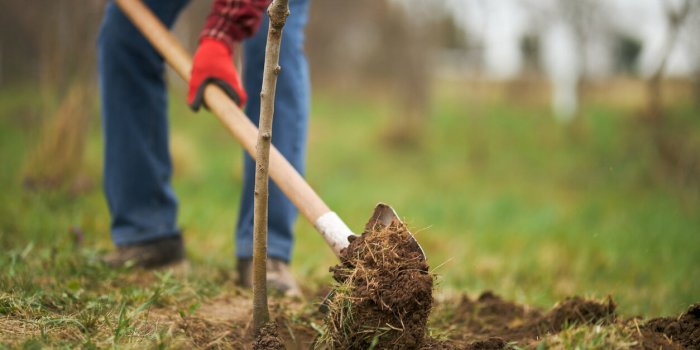 Prairies, vignes, forÃªts, les sols franÃ§ais les plus touchÃ©es par les microplastiques 