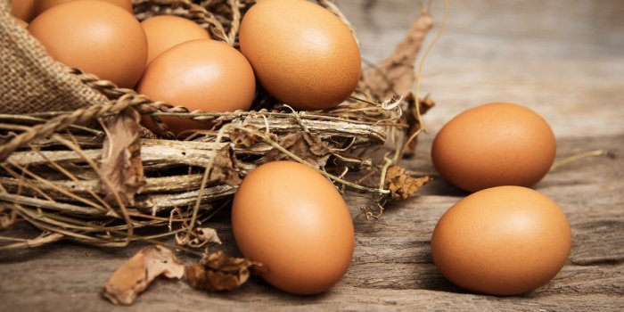 Cerveau : 7 aliments riches en vitamine D pour une meilleur fonction cognitive