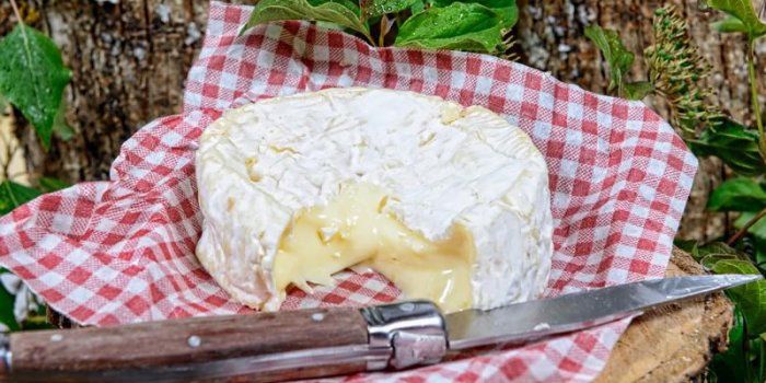 10 aliments à ne surtout pas congeler