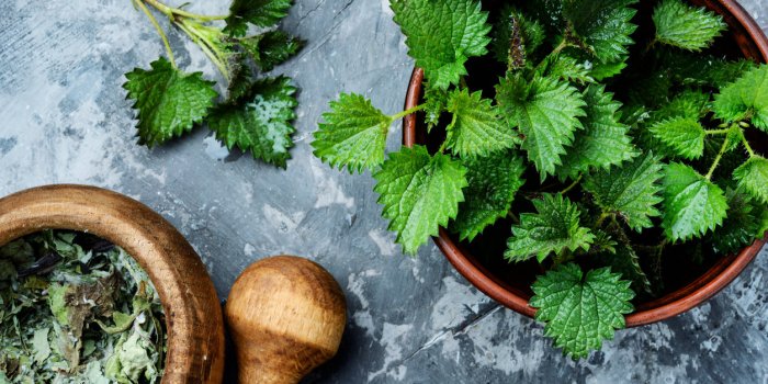 6 plantes médicinales qui ralentissent la chute des cheveux