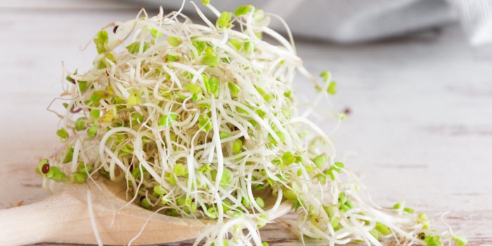 6 plantes médicinales qui ralentissent la chute des cheveux