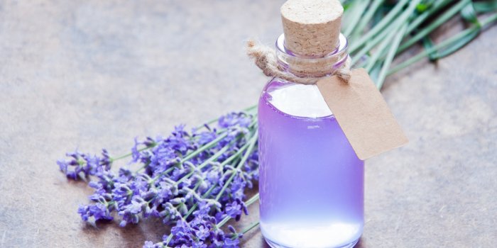 6 plantes médicinales qui ralentissent la chute des cheveux