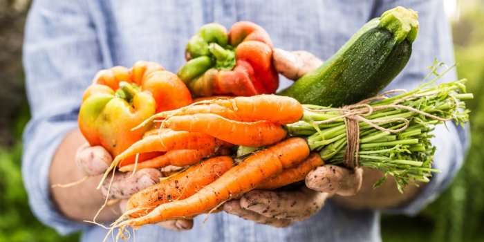 Quels sont les aliments qui craignent le plus la chaleur ?