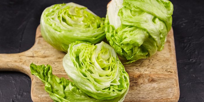 7 aliments riches en eau pour rester hydraté tout au long de la journée