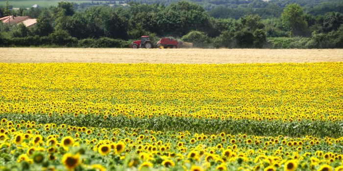 Covid-19 : les dÃ©partements oÃ¹ la mortalitÃ© a explosÃ© les derniers jours