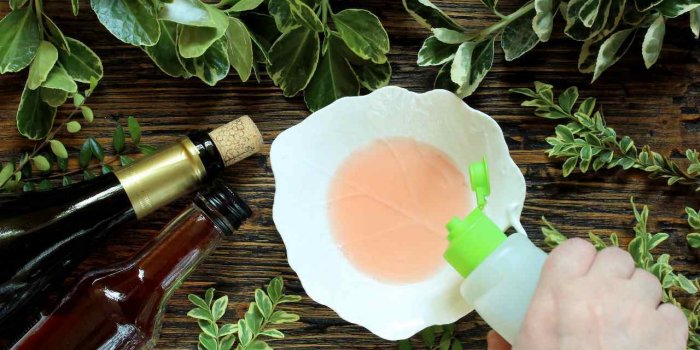 Fourmis volantes : 15 astuces naturelles pour les repousser