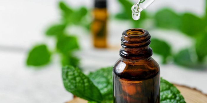 Fourmis volantes : 15 astuces naturelles pour les repousser