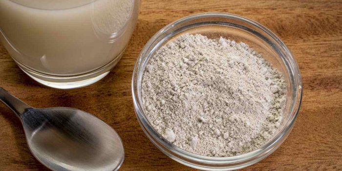 Fourmis volantes : 15 astuces naturelles pour les repousser