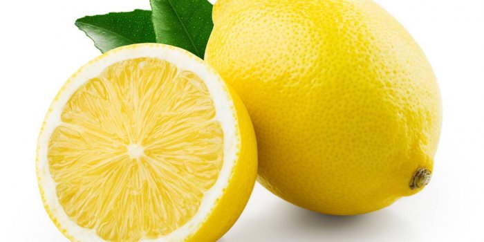 Fourmis volantes : 15 astuces naturelles pour les repousser
