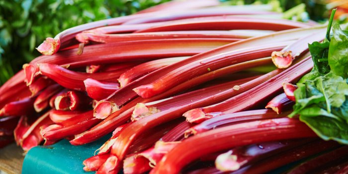 large heap of fresh ripe organic rhubarb on farmer market in paris, france
