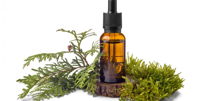 Circulation sanguine : 7 huiles essentielles à masser pour régler le problème !Â