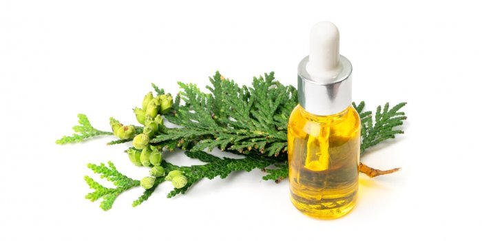 Circulation sanguine : 7 huiles essentielles à masser pour régler le problème !Â