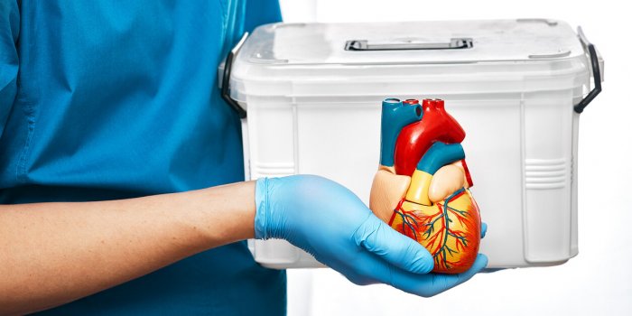 Les 8 avancÃ©es mÃ©dicales qui ont marquÃ© 2024