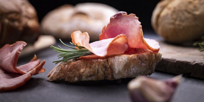 Guêpe : quels sont les aliments qui les attirent ?