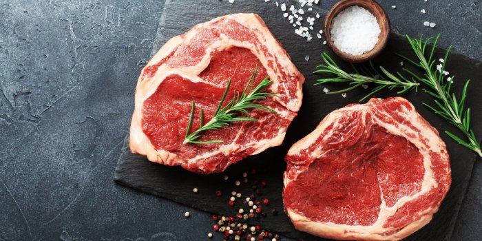 Guêpe : quels sont les aliments qui les attirent ?