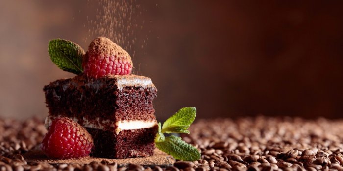 Guêpe : quels sont les aliments qui les attirent ?