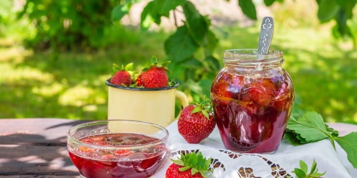 Guêpe : quels sont les aliments qui les attirent ?