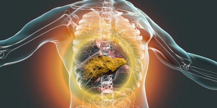 Vaccin Covid : quelles comorbiditÃ©s vous rendent prioritaire ?