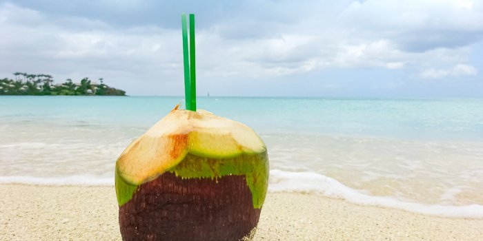 Les 7 bienfaits de lâeau de coco pour lâorganisme