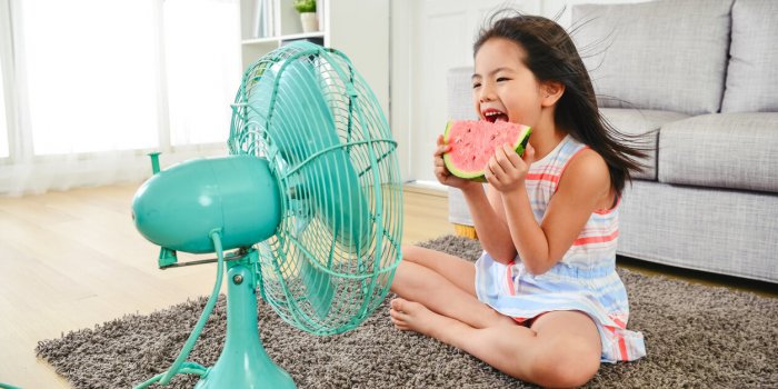 Sept conseils pour éviter dâattirer les moustiques dont le tigre