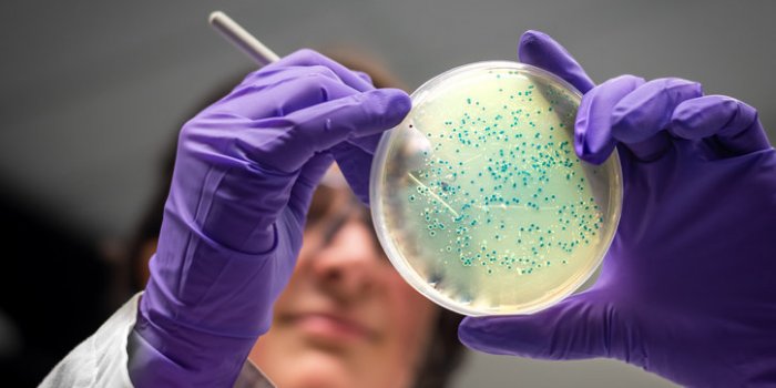 Infection nosocomiale : ces maladies qu'on attrape à l'hôpital