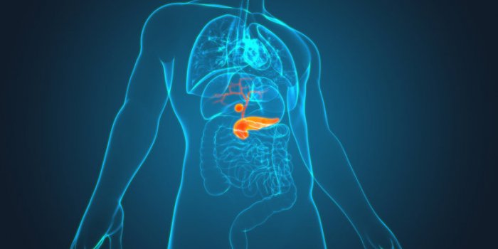 Les 10 cancers où l'obésité augmente les risques