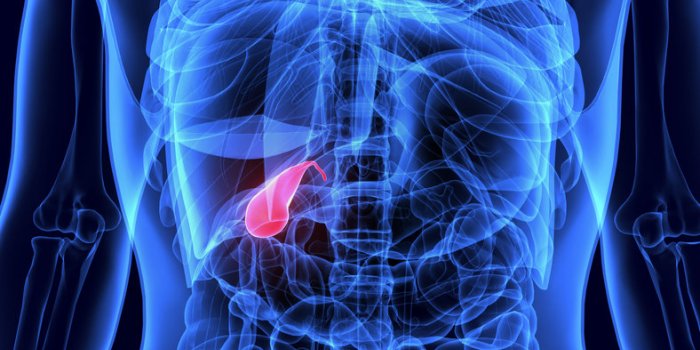 Les 10 cancers où l'obésité augmente les risques