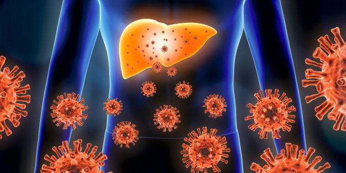Grippe, Covid-19... : Quelles sont les maladies les plus contagieuses ?