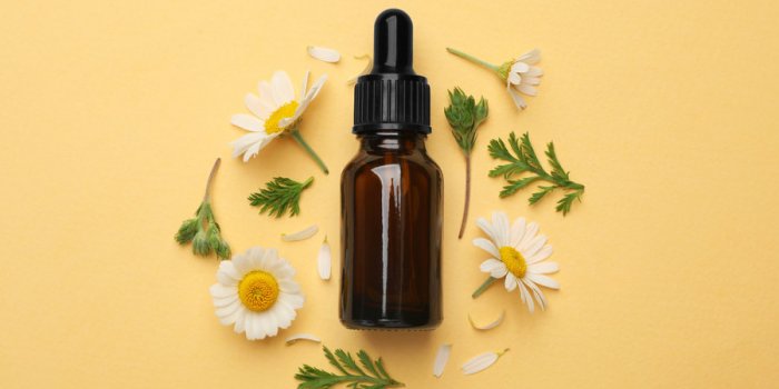 Moustique : 8 huiles essentielles contre la dÃ©mangeaison des piqÃ»res