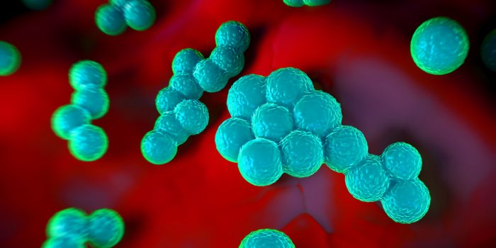 Les maladies que l'on attrape en se lavant