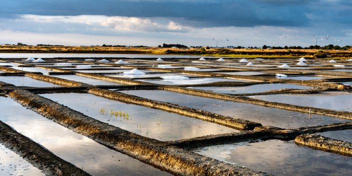 Maladie de Lyme : les régions où les tiques sont les plus dangereuses