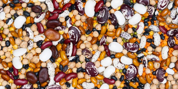 Quelle est la meilleure alimentation après 50 ans ?