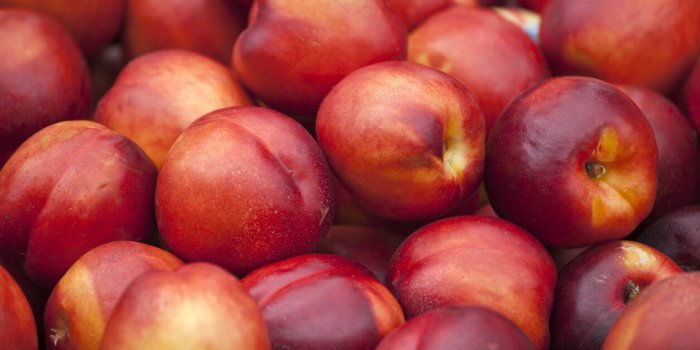 Digestion : ces aliments riches en fructanes dont il faut se méfier