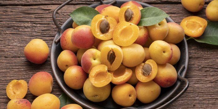 Digestion : ces aliments riches en fructanes dont il faut se méfier