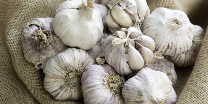 Digestion : ces aliments riches en fructanes dont il faut se méfier