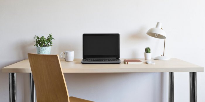7 plantes dâintÃ©rieur Ã  mettre au bureau dÃ¨s la rentrÃ©e