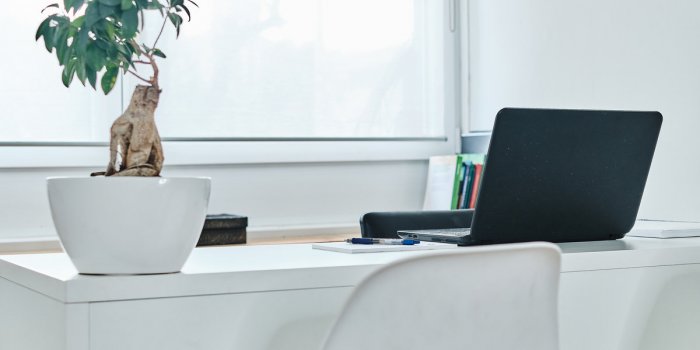 7 plantes dâintÃ©rieur Ã  mettre au bureau dÃ¨s la rentrÃ©e