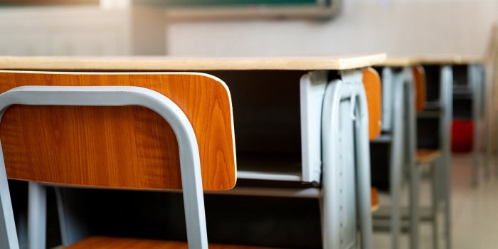 HPI : quels sont les différents profils de haut potentiel intellectuel ?