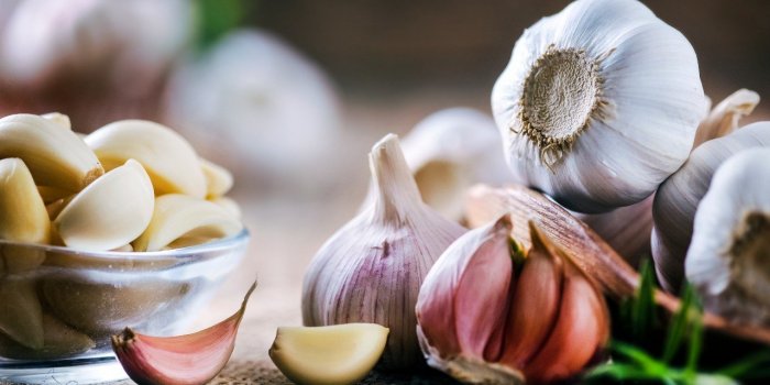 CÅur : 10 aliments Ã  manger Ã  chaque repas pour soigner vos artÃ¨res 