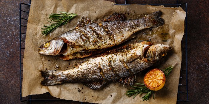 grilled fish sea bass on metal grill grid with lemon and rosemary on dark background