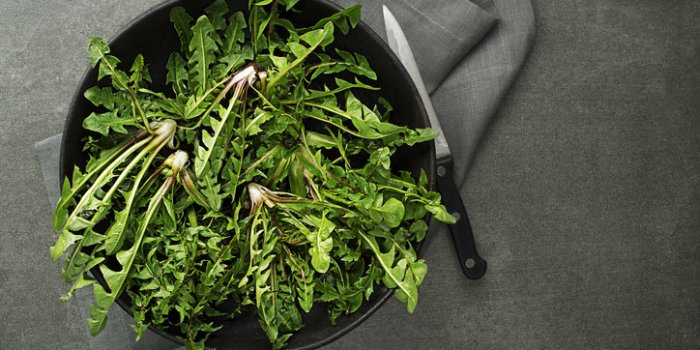 15 aliments pour faire le plein de vitamine K