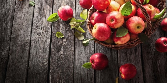 Cerveau : un nutritionniste partage les 35 meilleurs aliments pour le stimuler