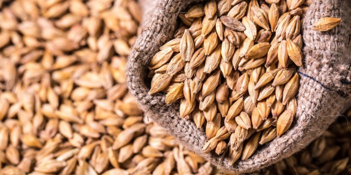 Intestin : 12 aliments riches en fibres pour lutter contre les microbes