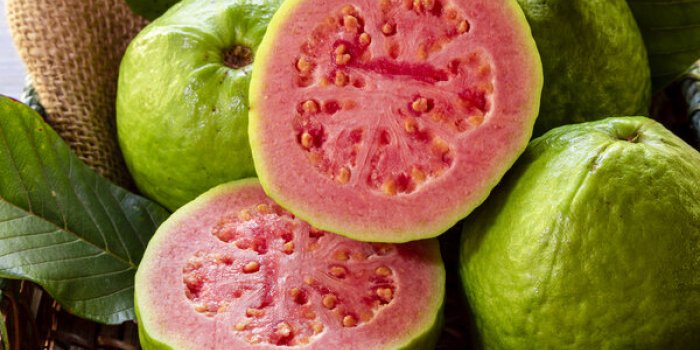 Les fruits et légumes les plus riches en protéines