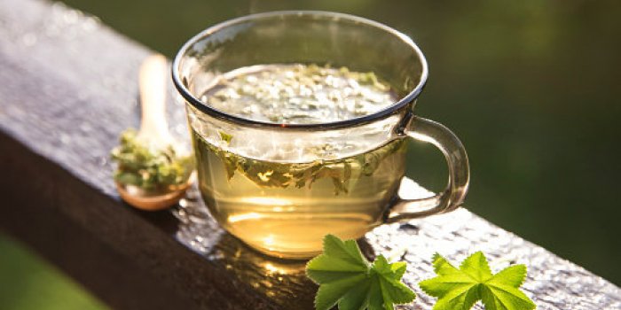 BouffÃ©e de chaleur, saute dâhumeur : 15 plantes qui soulagent les maux de la mÃ©nopause