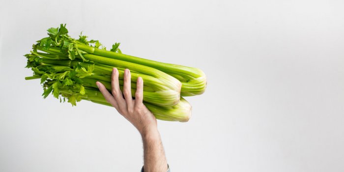 CÃ©leri : voici les sept bienfaits pour votre santÃ© 