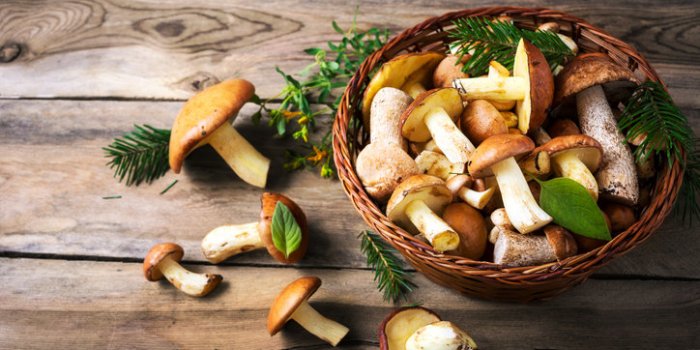 DÃ©shydratation : les aliments riches en eau peuvent vous protÃ©ger